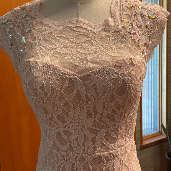 Pink Lace Evening Gown Size 5 - Picture 2 of 6